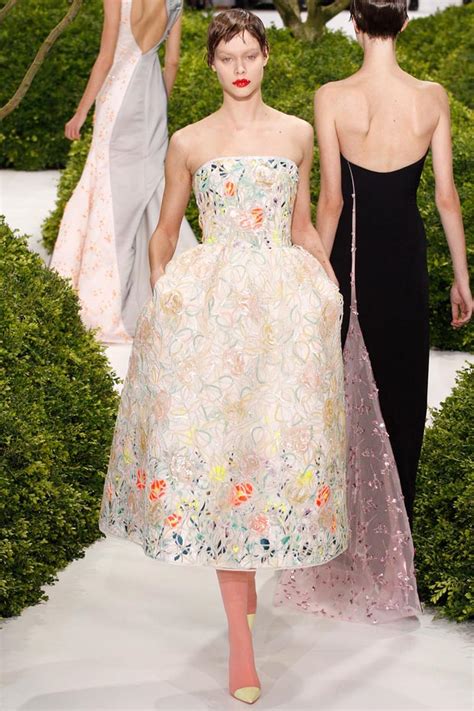 dior embroidered dress